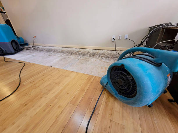 Professional Burst Pipe Water Damage technician working in Topanga, CA